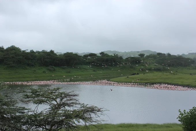 Arusha National Park Momella Lakes