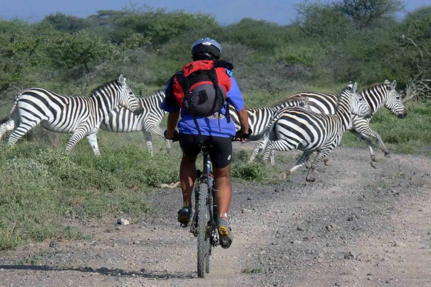 Best Cycling Tours in Tanzania 2026/2027