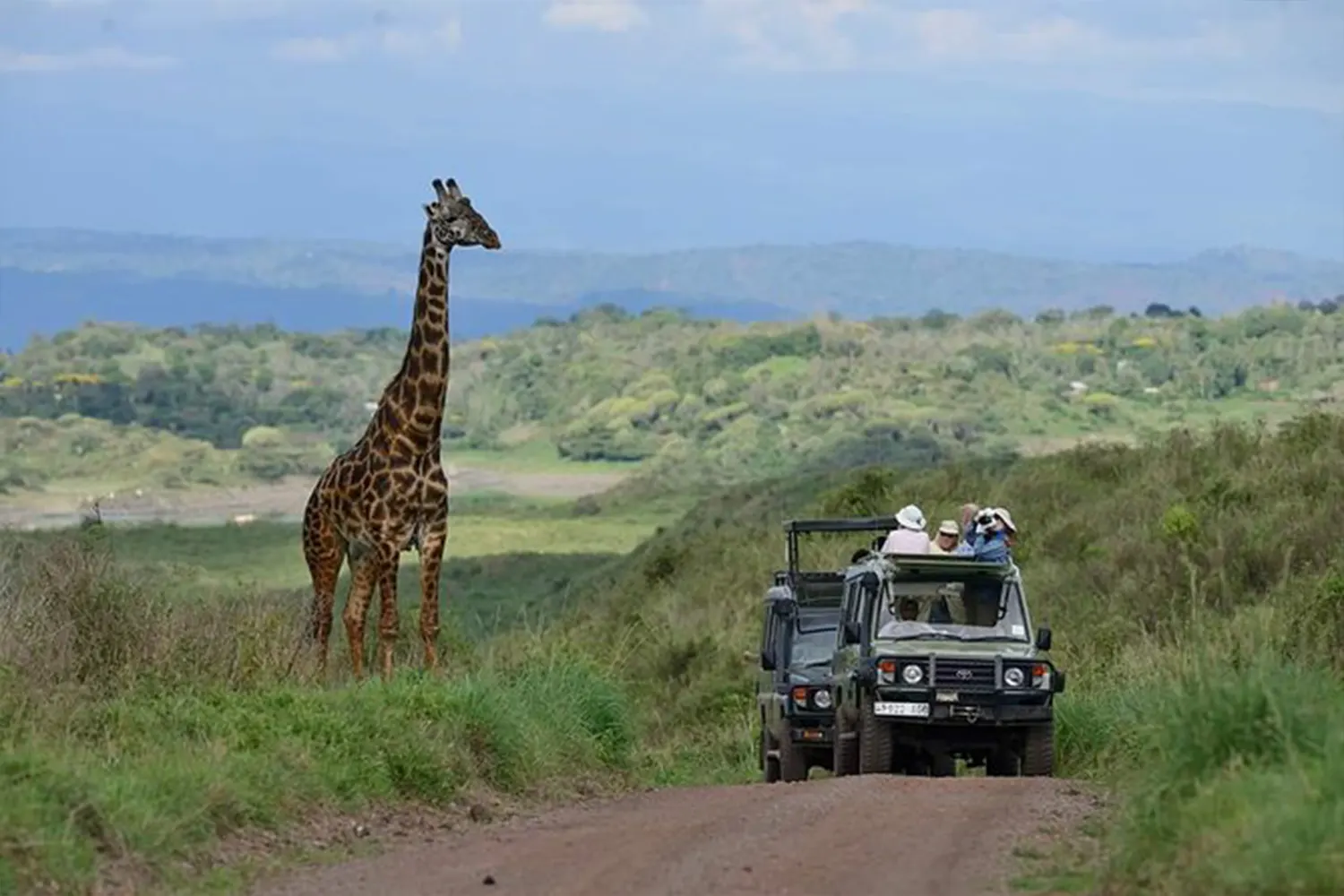 Excursió d'un dia a Arusha Safari privat