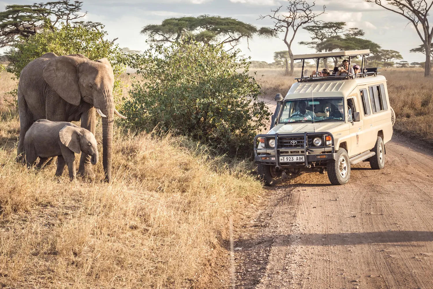 8 Days Tanzania Private Safari