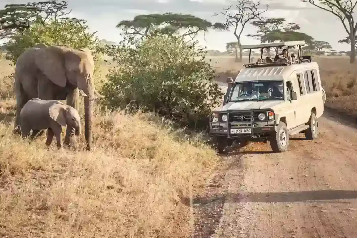 Safari privat de 8 dies a Tanzània