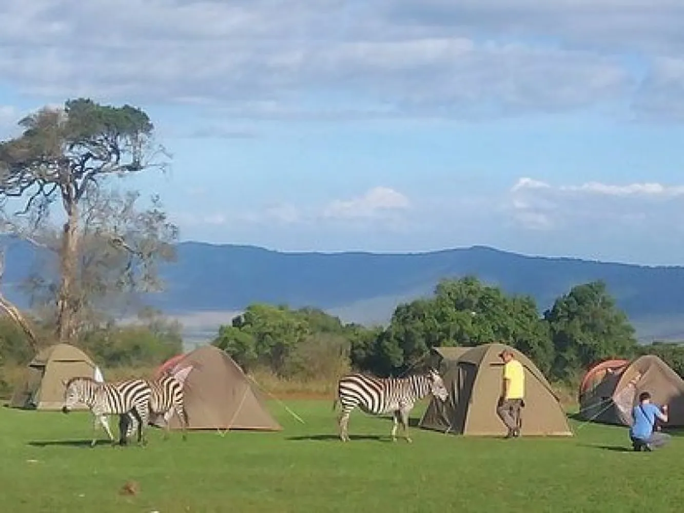 Best budget 6 day Tanzania safari operators