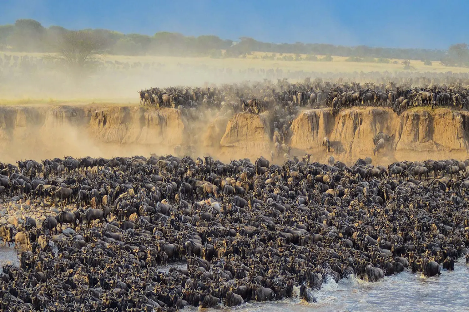 The Best Time To See Serengeti Migration River Crossing