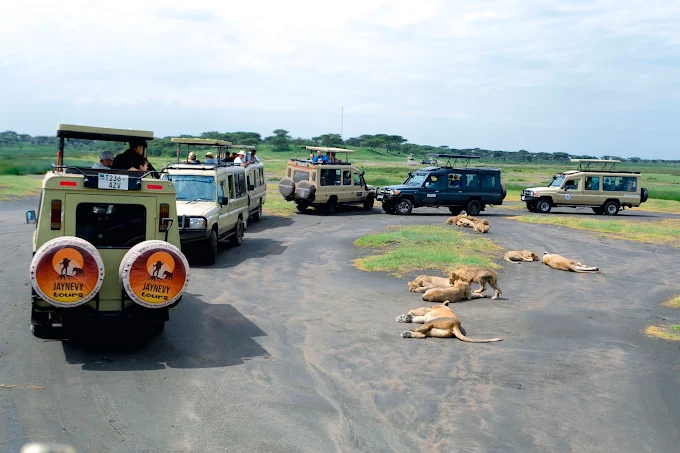 2-Day Tanzania private safari Lake Manyara Ngorongoro