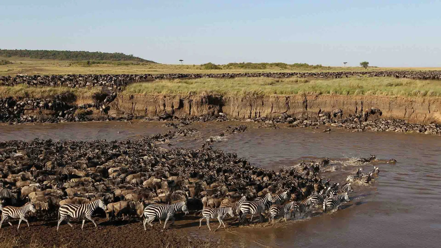best time for 6 day Tanzania safari Great Migration in 2026 and 2027