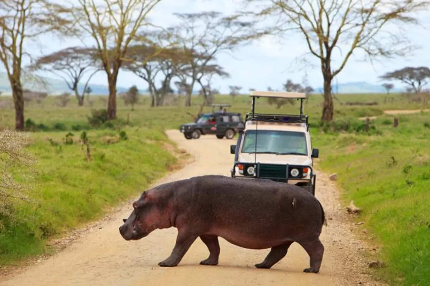 best time to visit tanzania Best Time to Visit Tanzania: Tanzania Weather