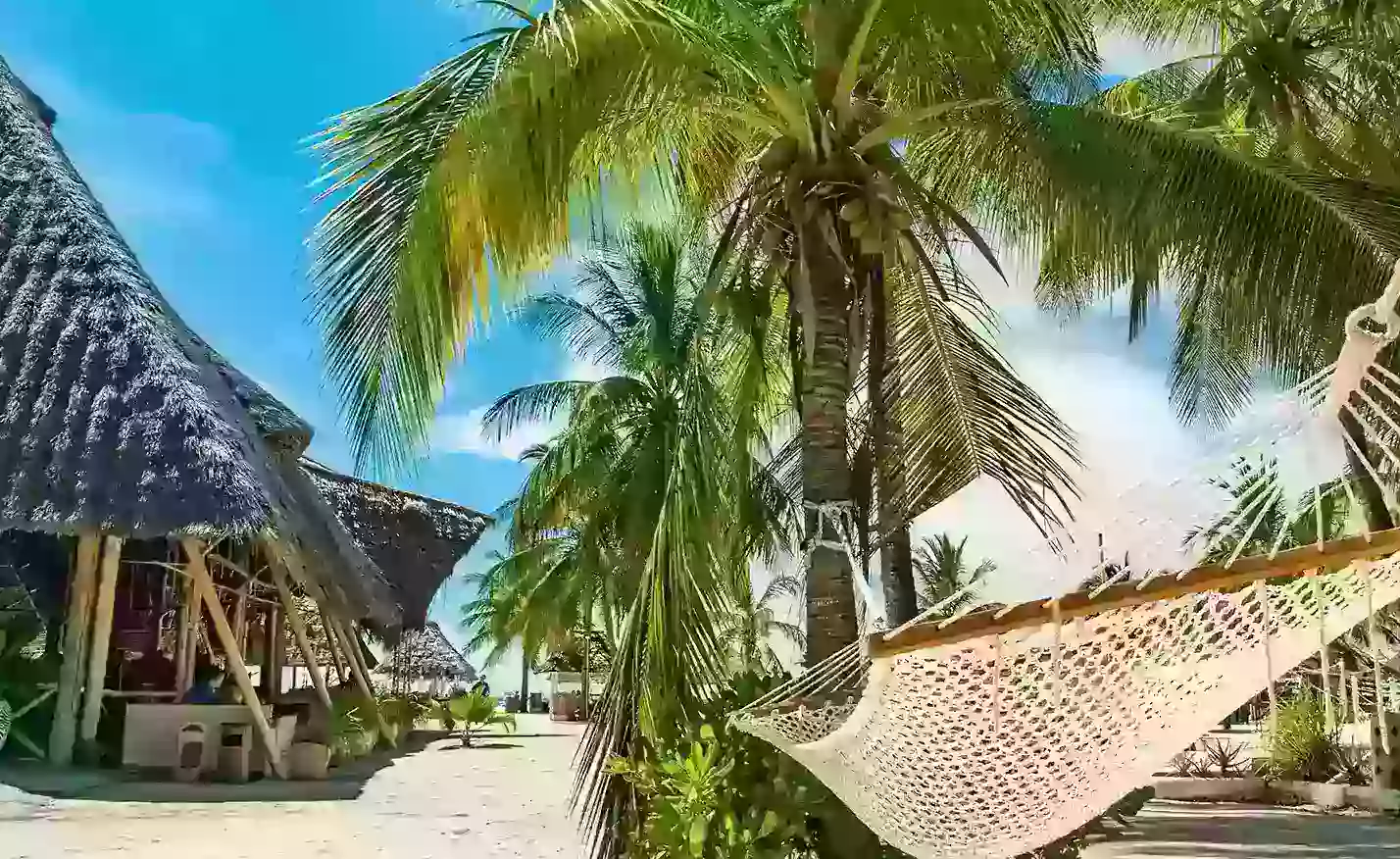best time to visit zanzibar island Best Time to Visit Zanzibar – Weather, Seasons, and Travel Tips