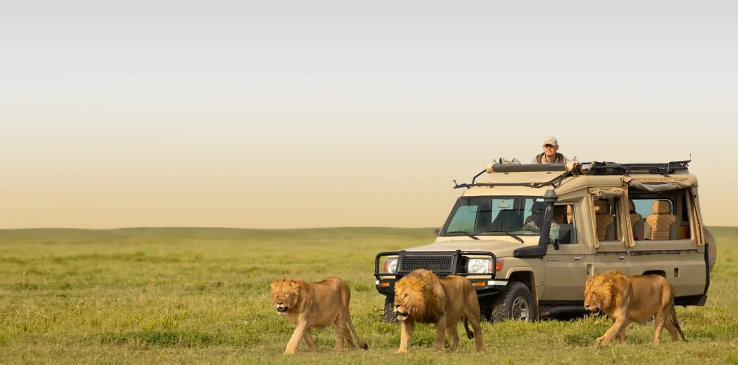best value for money 6 day Tanzania safari in 2026 and 2027