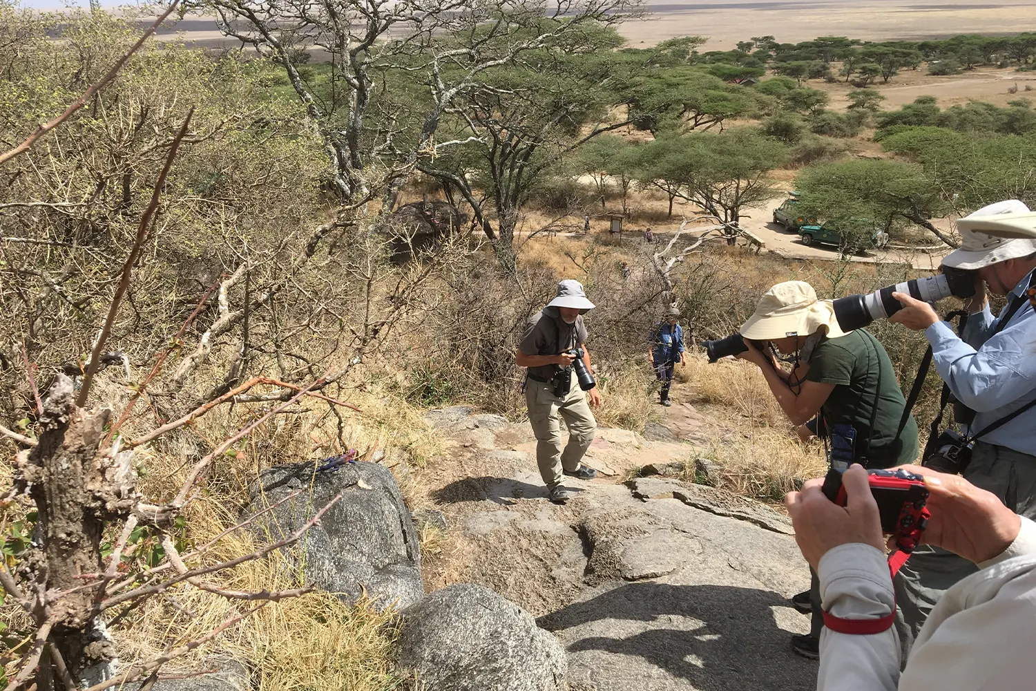 Tour d'aventura d'observació d'aus de 3 dies