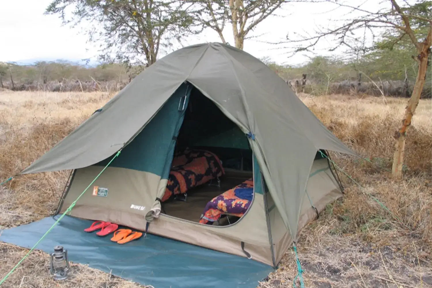 Safari d'acampada de fauna de 6 dies