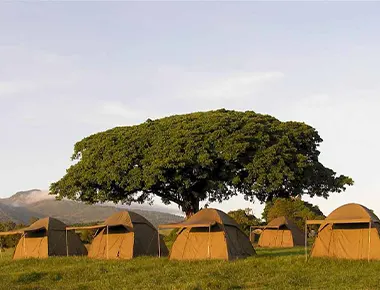 acampada a Tanzània