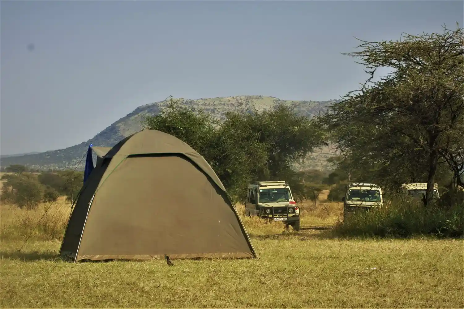 Safari de 4 dies de càmping al Serengeti