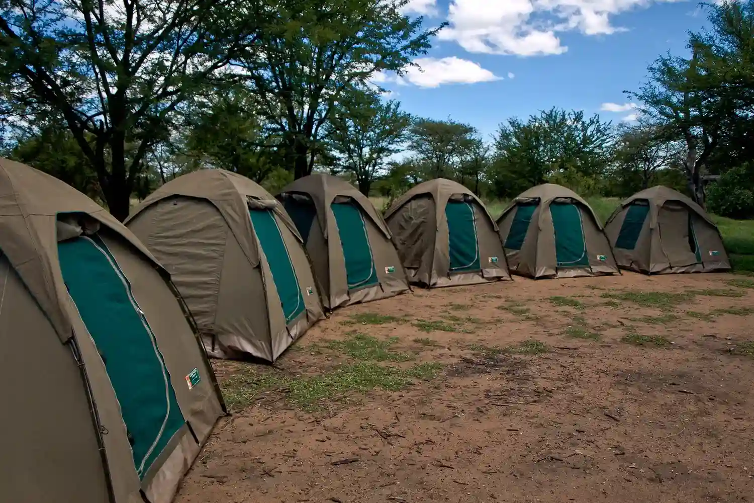 3 dies de càmping Safari Tanzània