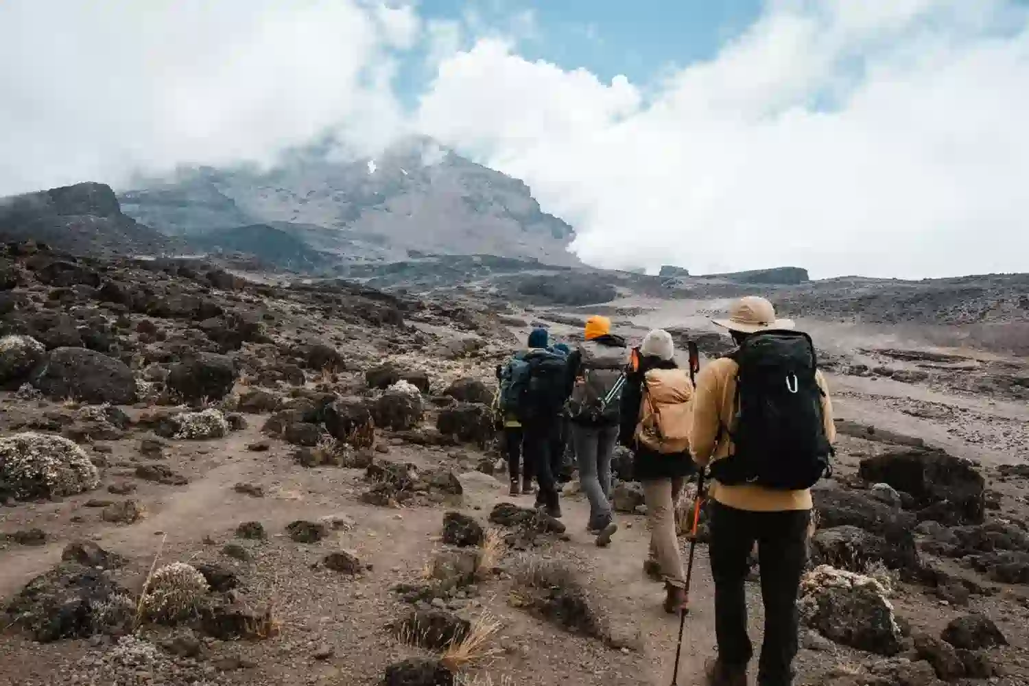Kilimanjaro