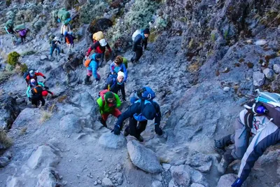 Kilimanjaro in July