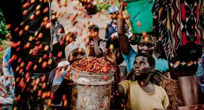 Marché du café en Tanzanie