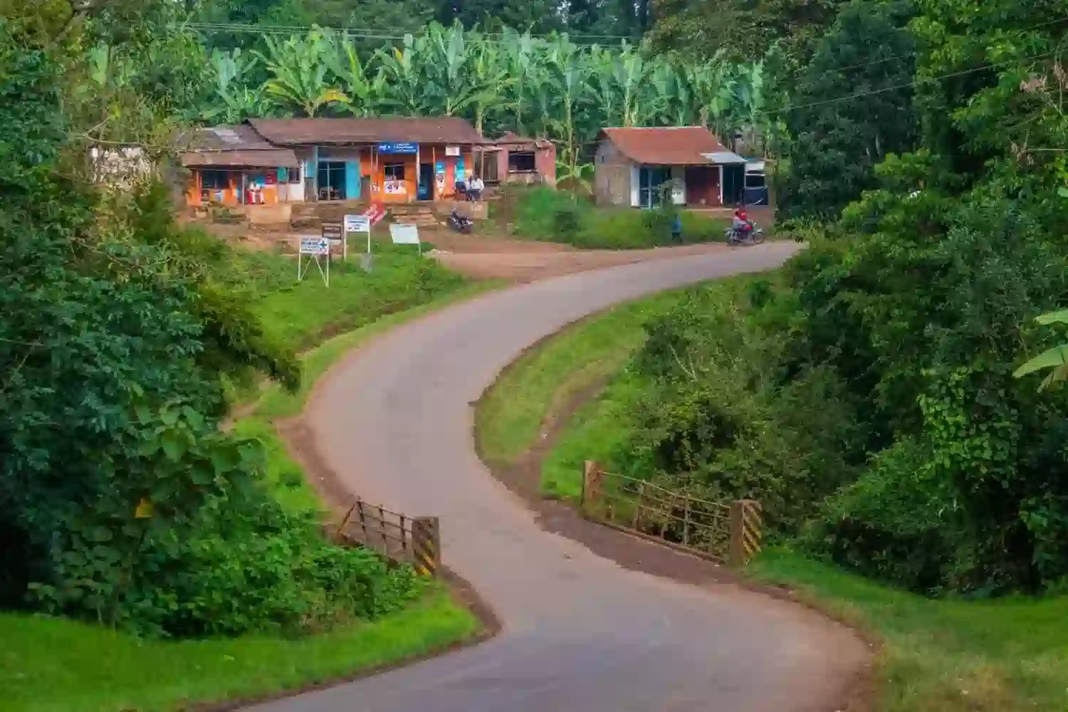 Zona di coltivazione Kilimanjaro