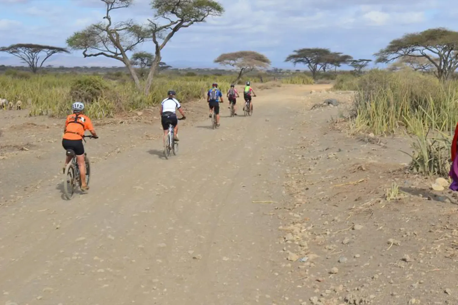 Excursió en bicicleta al cràter de Ngorongoro des del Kilimanjaro