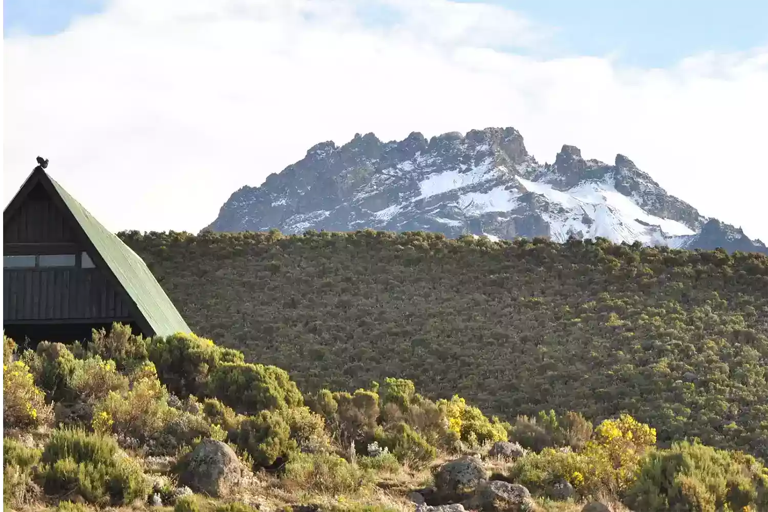 Kilimanjaro climbing