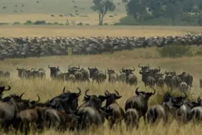 Kenya Tanzania Tour