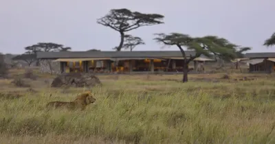Eastern Namiri Plains