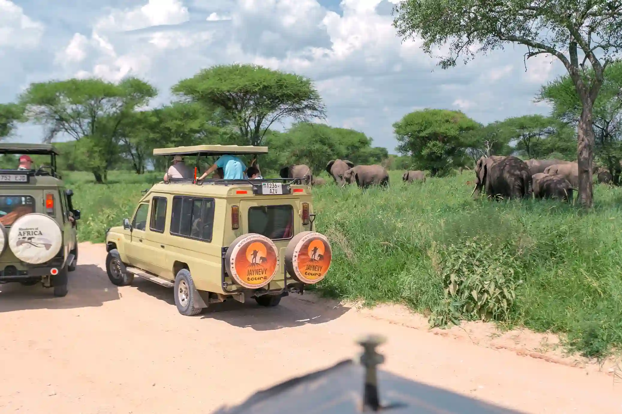 Incredible Facts About Elephants | Elephants Watching in Africa’s National Parks