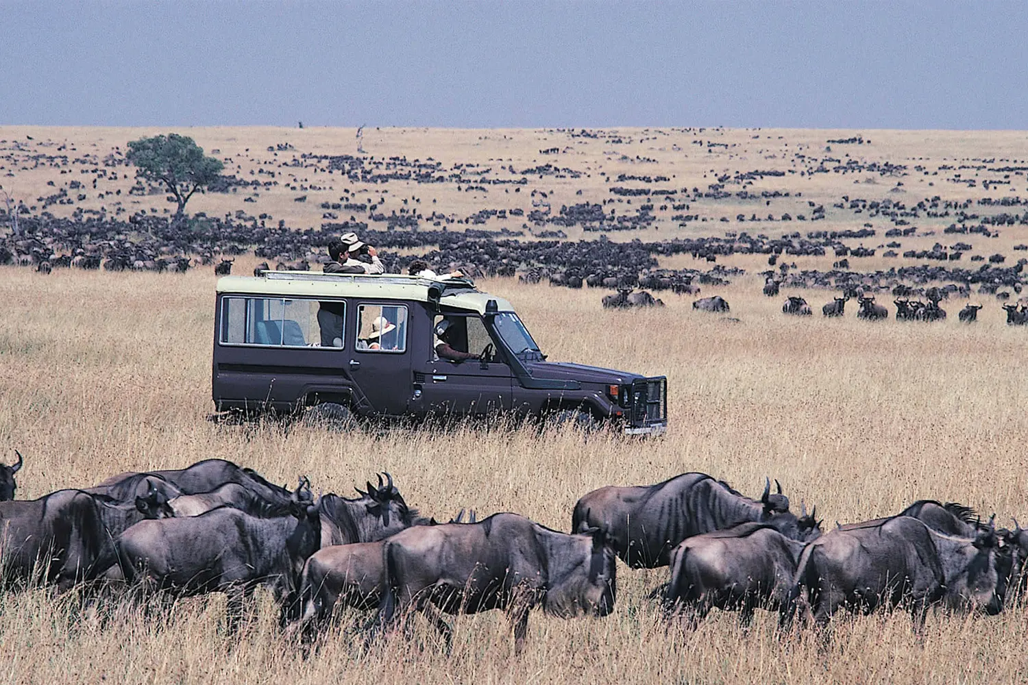 Fees for Tanzania national parks