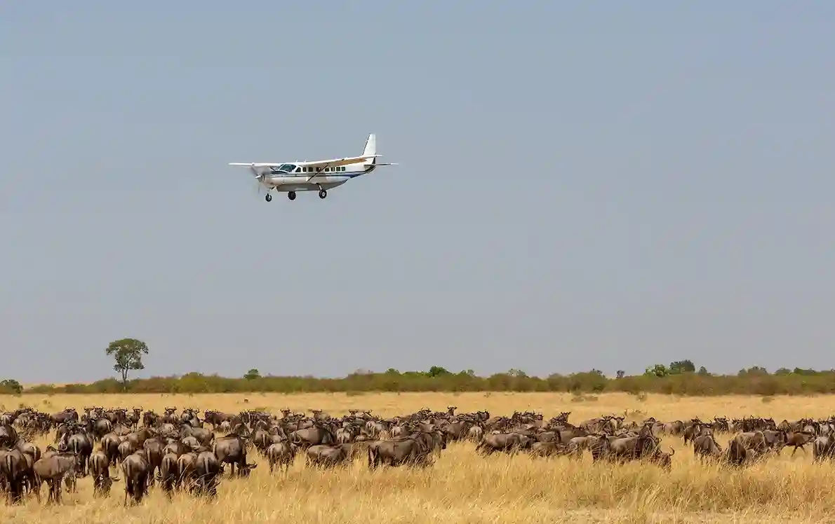 5 Day Zanzibar Fly-In Safari Tanzania