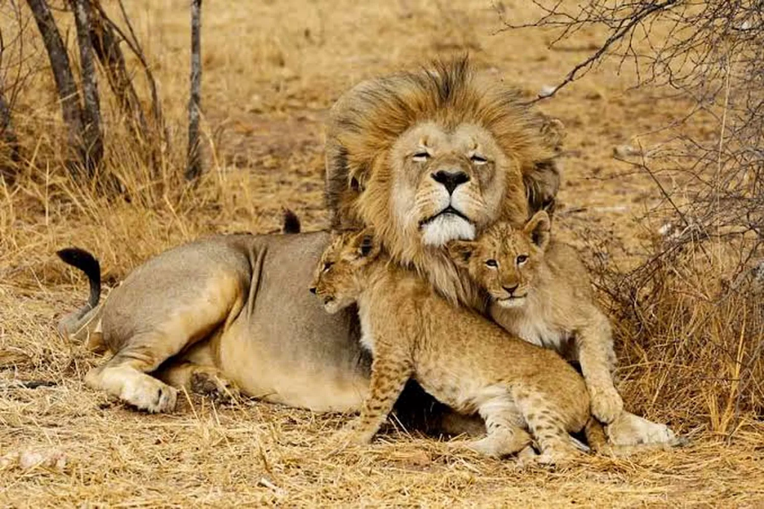 hidden costs in 6 day Tanzania safari packages for 2026 and 2027