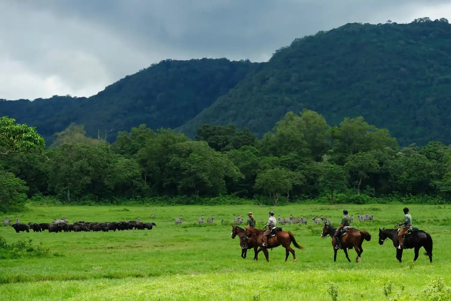 Kilimanjaro horse riding