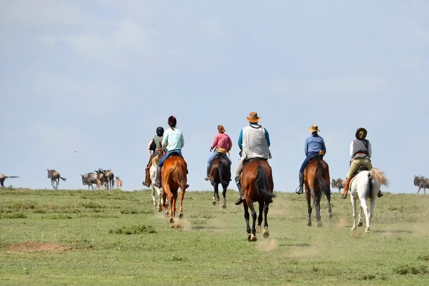 Tanzania horse riding tour