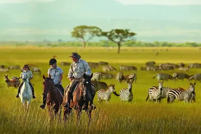 Serengeti migration horse riding