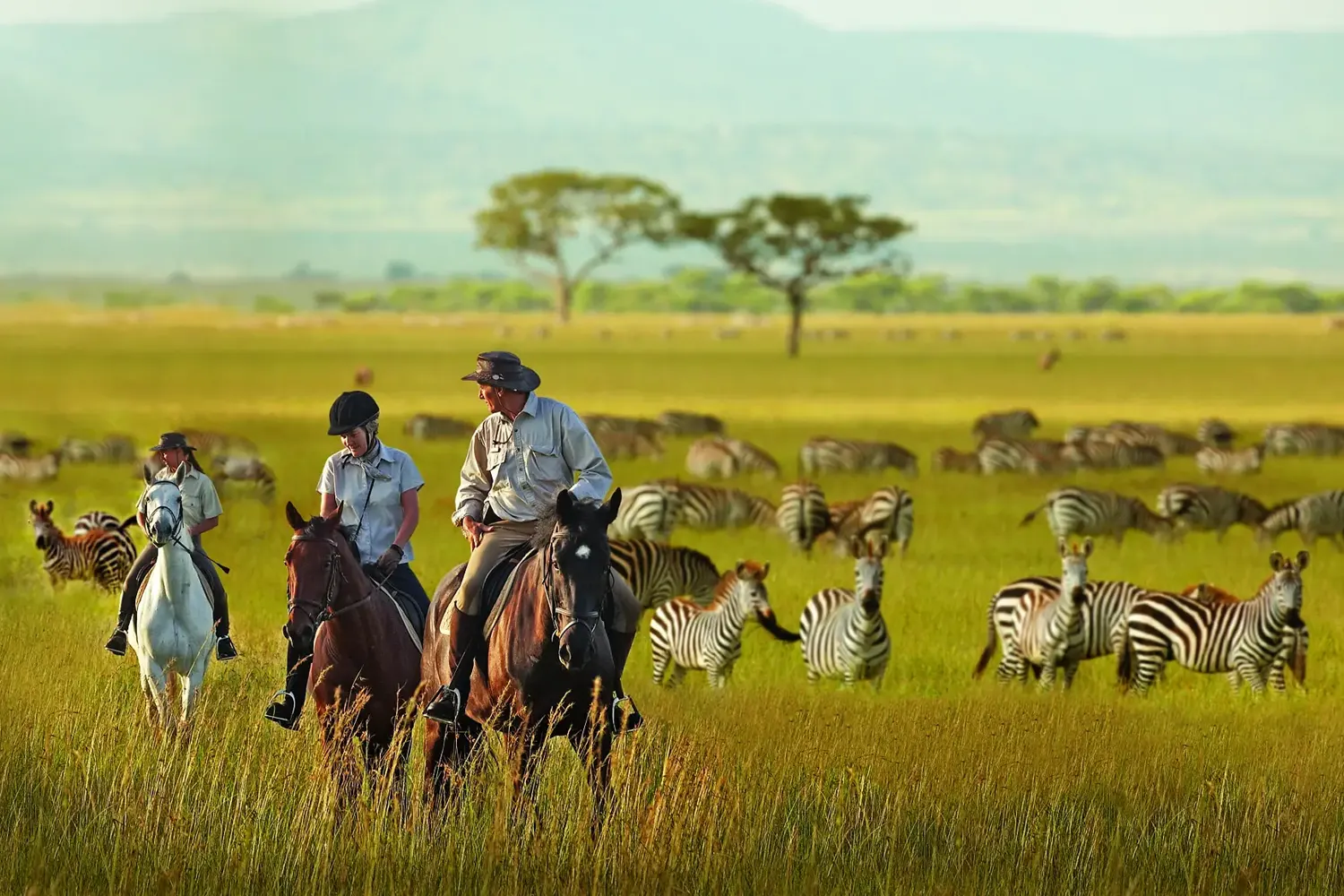Serengeti migration horse riding
