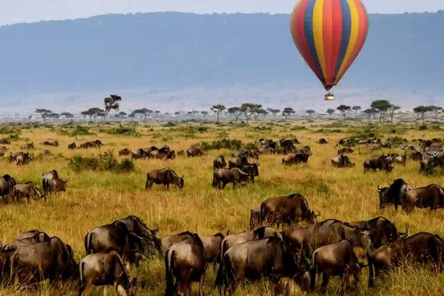 Hot Air Balloon Safari Serengeti Migration