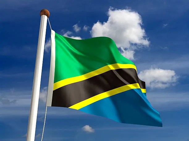 How is Tanzania Flag