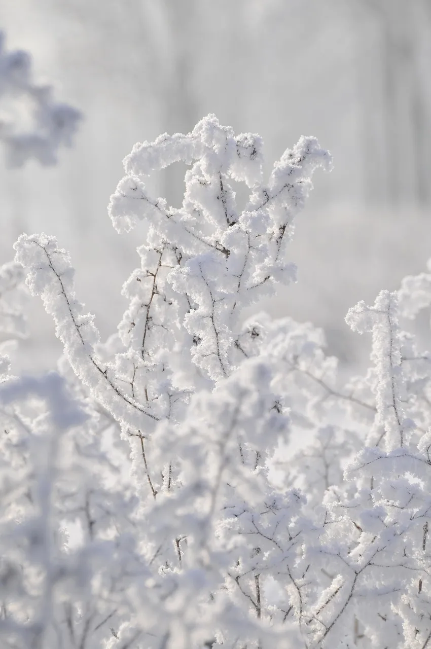 How Is Tanzania in January