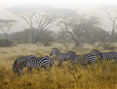 How much is a Safari in Tanzania?