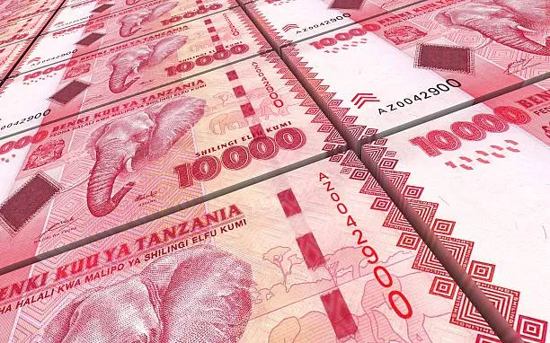 How Much is Tanzania Currency