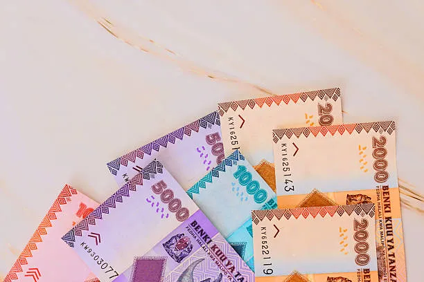 How Much is Tanzania Money