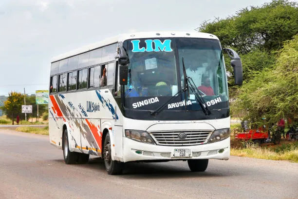 How Much to Tanzania by Bus