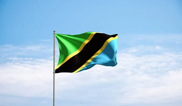 How Tanzania Government Works