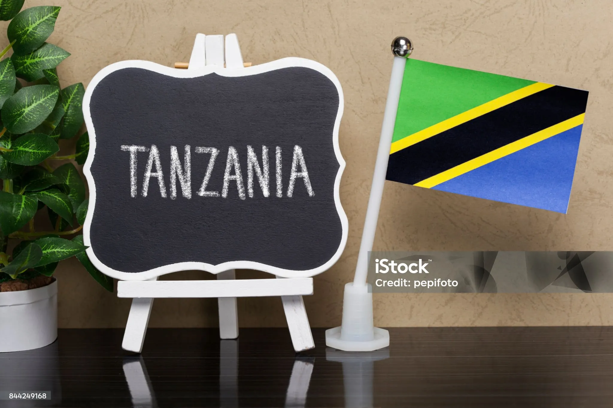 How to Access X in Tanzania