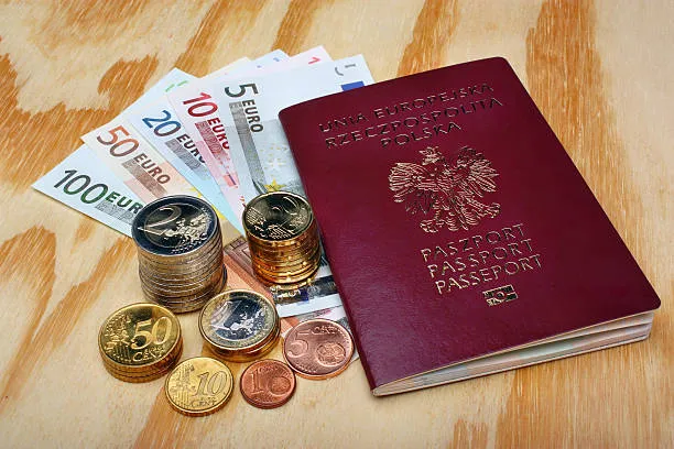 How To Apply For A German Passport