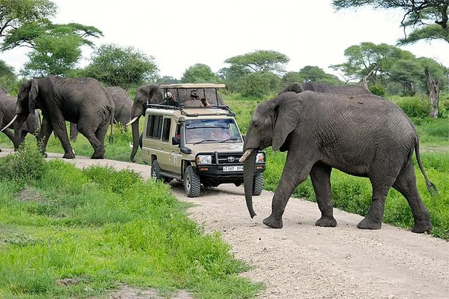 how to book a cheap 6 day safari in Arusha for 2026 and 2027