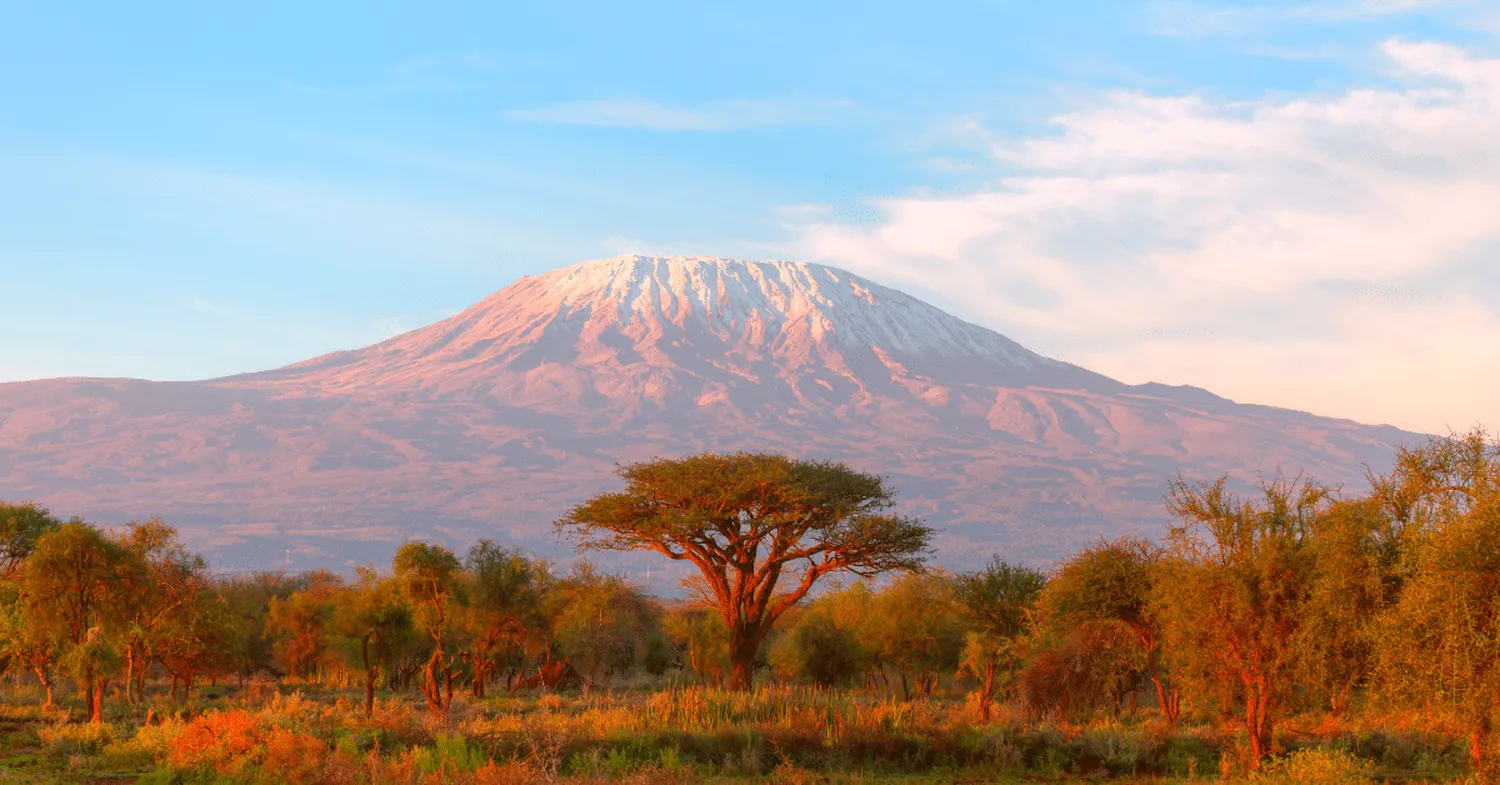 Moshi and Arusha starting point comparison for Tanzania travel