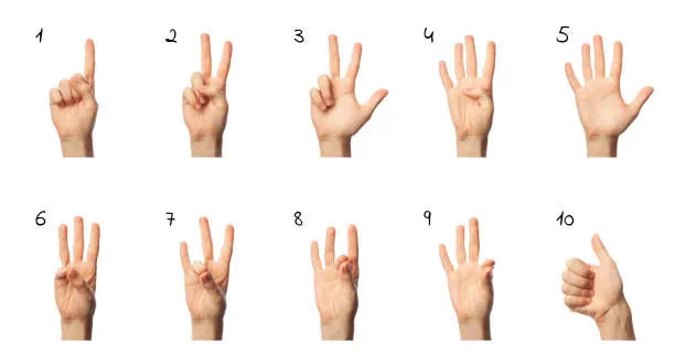 How To Count In German