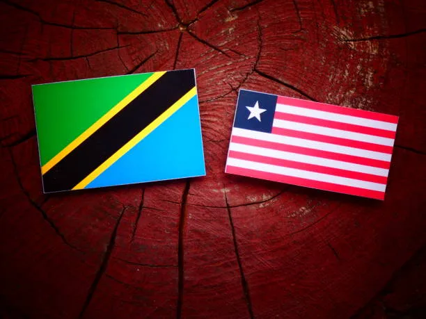How to Dial Tanzania from USA