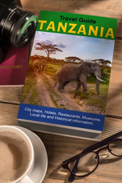 How to Go to Tanzania