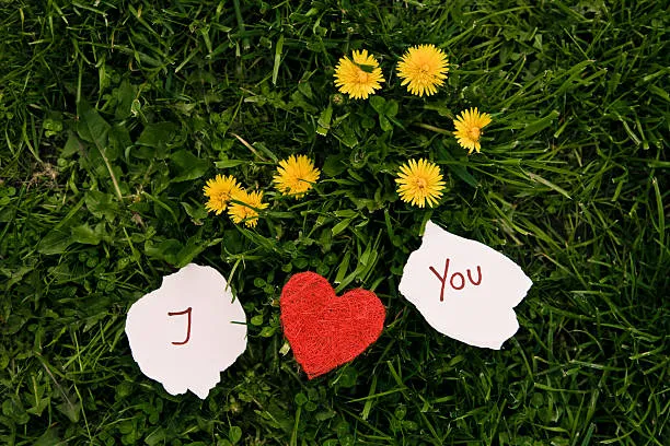 How To I Love You In German