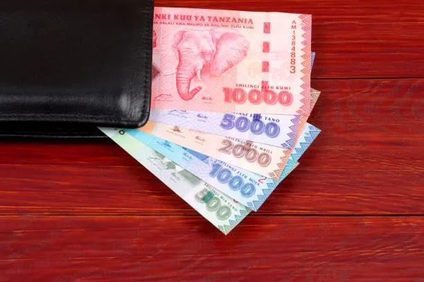 How to Receive Money from Western Union in Tanzania